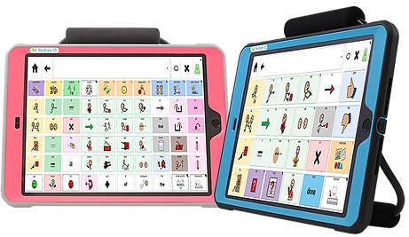 Bright Pink Sky Blue combo_web.png