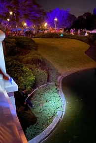 fish out water_nolan m.png